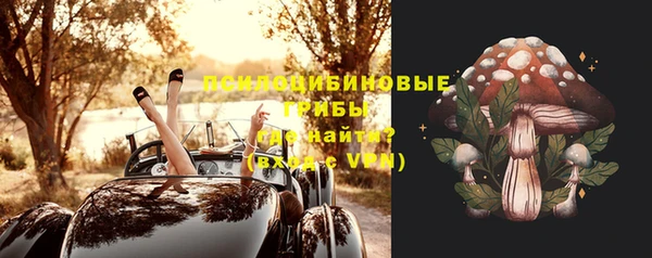 мет Арсеньев