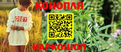 трава Кинель