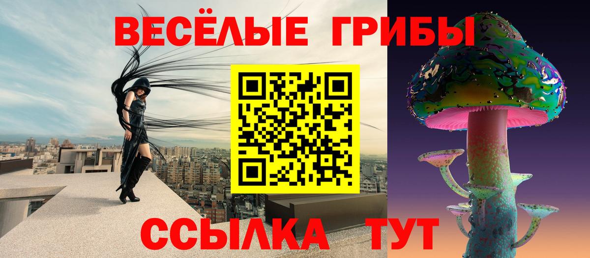 Галлюциногенные грибы Psilocybe Кыштым