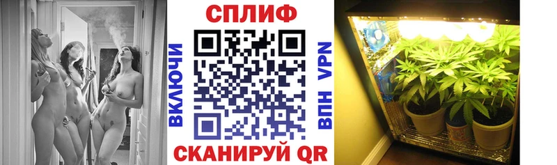 Марихуана конопля  Кыштым 